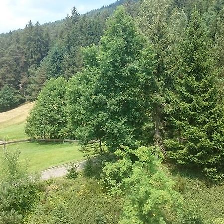 バイアースブロンWaldblick Tonbachアパートメント 部屋 写真