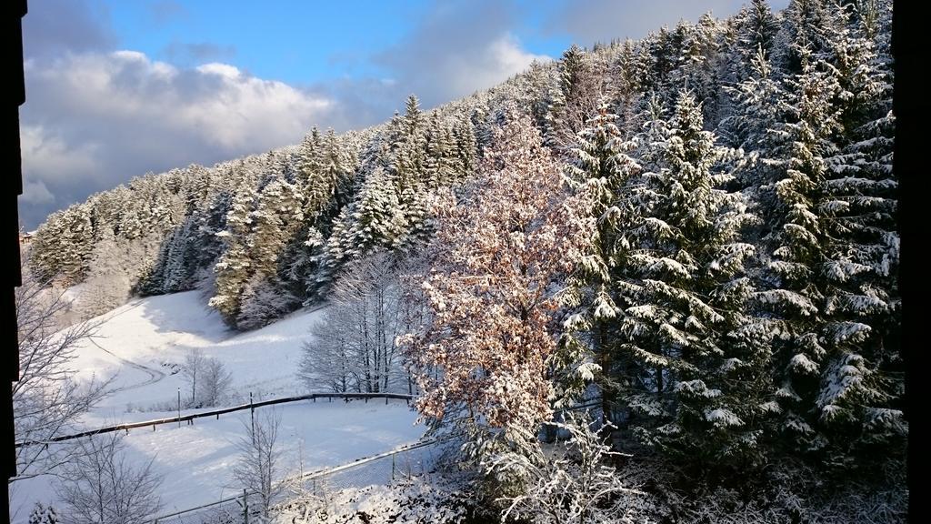 バイアースブロンWaldblick Tonbachアパートメント 部屋 写真