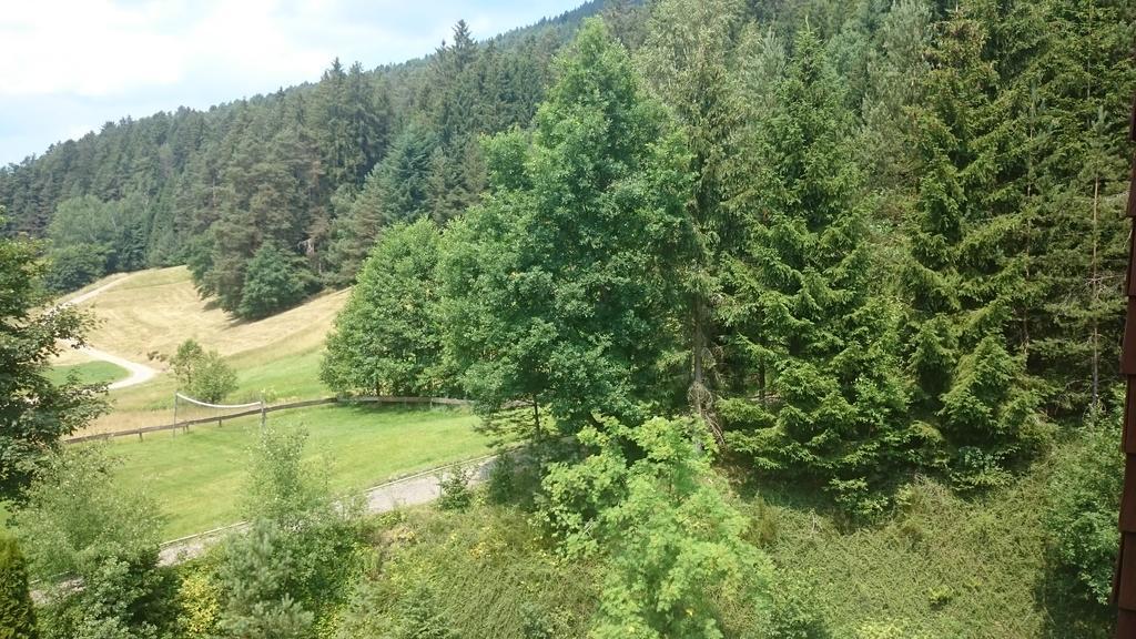 バイアースブロンWaldblick Tonbachアパートメント 部屋 写真