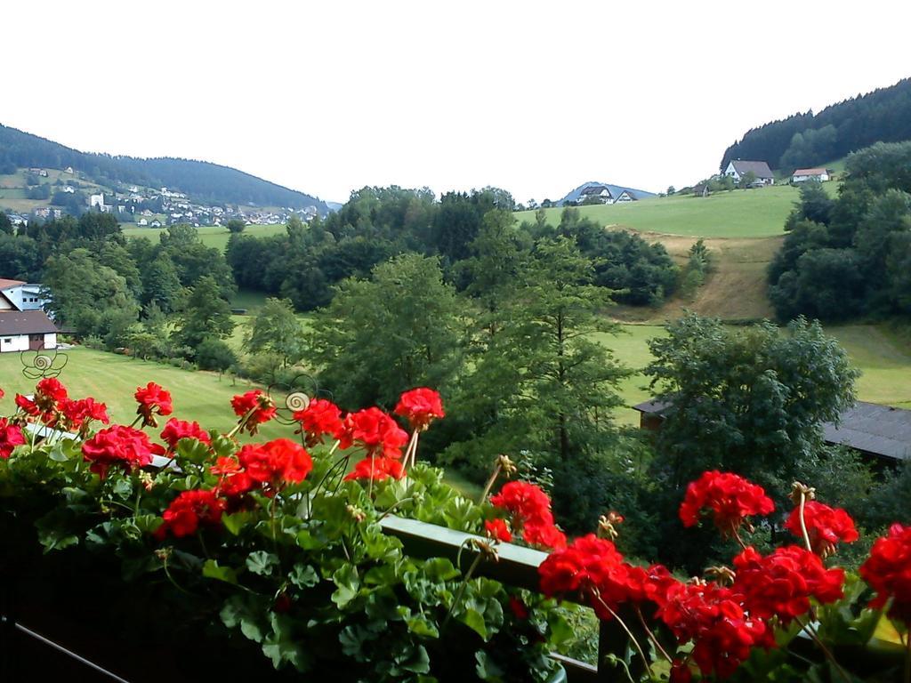 バイアースブロンWaldblick Tonbachアパートメント 部屋 写真